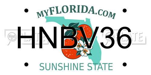 HNBV36 Florida License Plate
