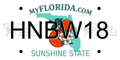 HNBW18 Florida License Plate