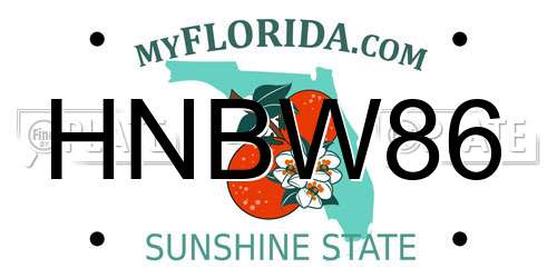 HNBW86 Florida License Plate