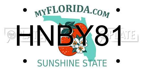 HNBY81 Florida License Plate