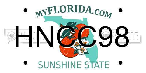HNCC98 Florida License Plate