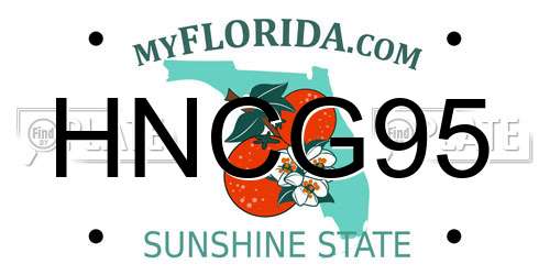 HNCG95 Florida License Plate