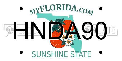 HNDA90 Florida License Plate