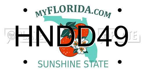 HNDD49 Florida License Plate