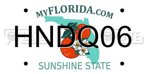 HNDQ06 Florida License Plate