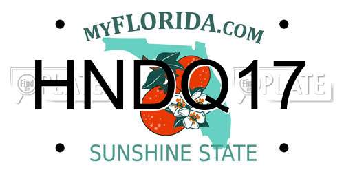 HNDQ17 Florida License Plate