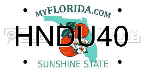 HNDU40 Florida License Plate
