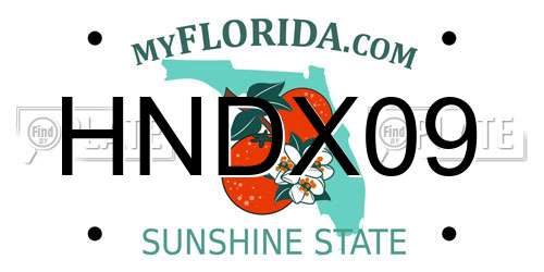 HNDX09 Florida License Plate