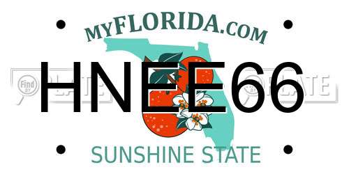 HNEE66 Florida License Plate