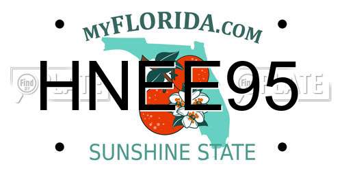 HNEE95 Florida License Plate