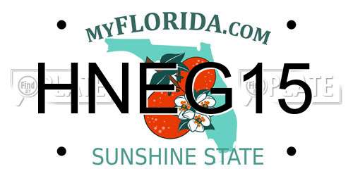 HNEG15 Florida License Plate