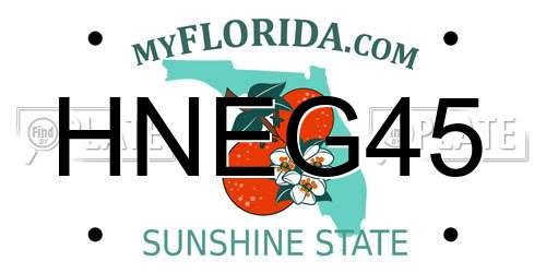 HNEG45 Florida License Plate