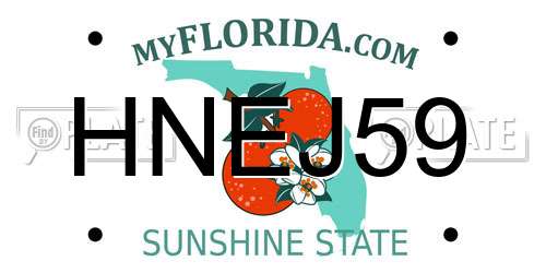 HNEJ59 Florida License Plate