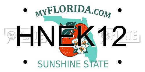 HNEK12 Florida License Plate