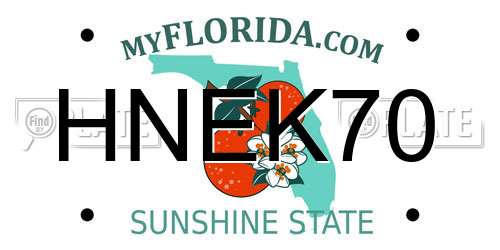HNEK70 Florida License Plate