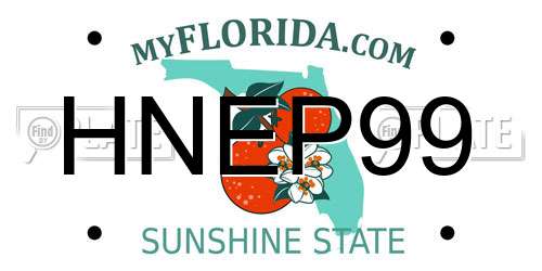 HNEP99 Florida License Plate