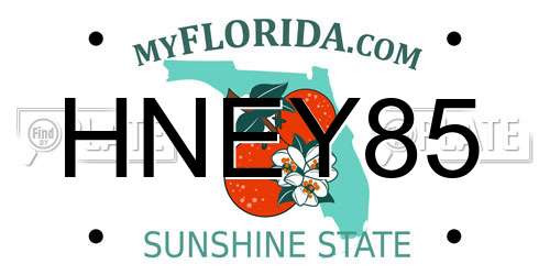 HNEY85 Florida License Plate