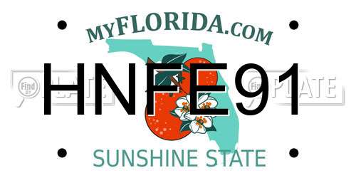 HNFE91 Florida License Plate