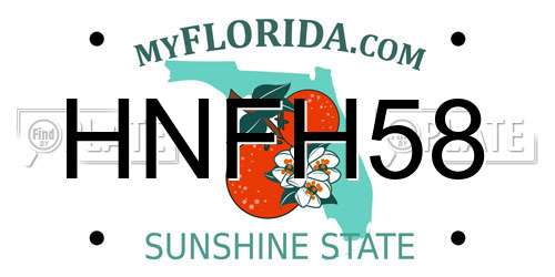 HNFH58 Florida License Plate