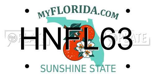 HNFL63 Florida License Plate