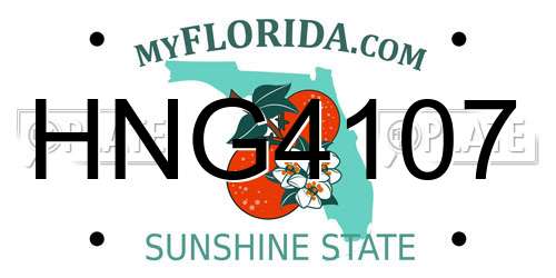 HNG4107 Florida License Plate