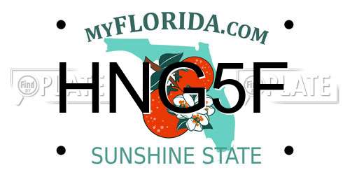 HNG5F Florida License Plate
