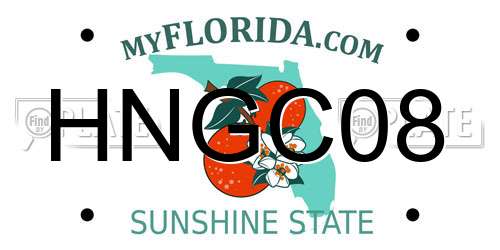 HNGC08 Florida License Plate
