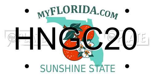 HNGC20 Florida License Plate