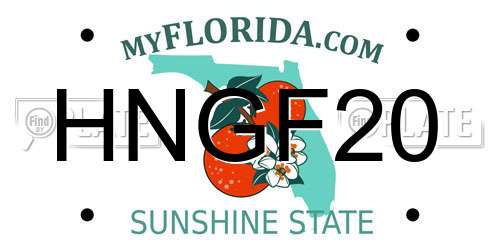 HNGF20 Florida License Plate