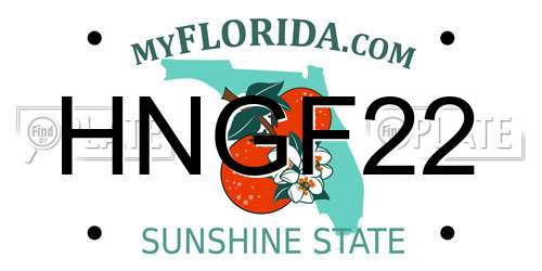 HNGF22 Florida License Plate