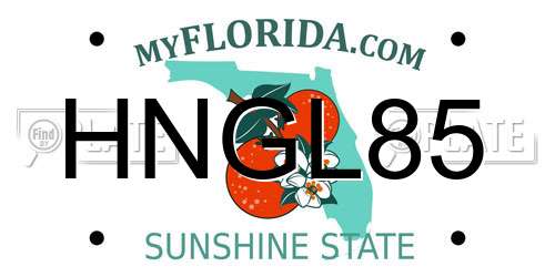 HNGL85 Florida License Plate