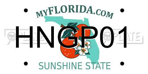 HNGP01 Florida License Plate
