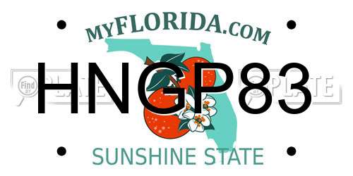 HNGP83 Florida License Plate