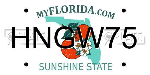 HNGW75 Florida License Plate