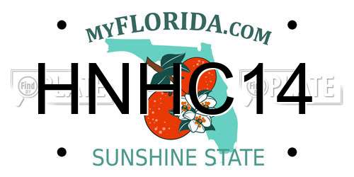 HNHC14 Florida License Plate