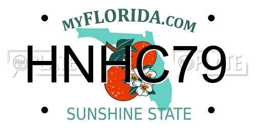 HNHC79 Florida License Plate