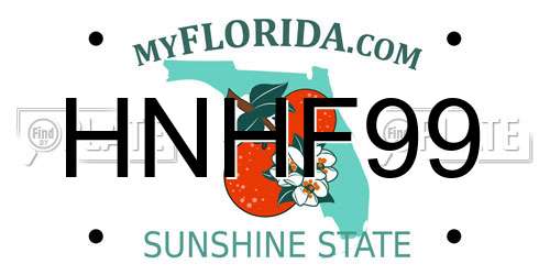 HNHF99 Florida License Plate