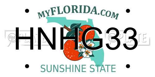 HNHG33 Florida License Plate