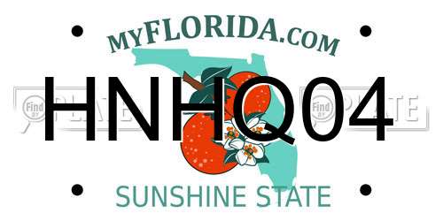 HNHQ04 Florida License Plate