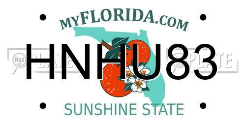 HNHU83 Florida License Plate