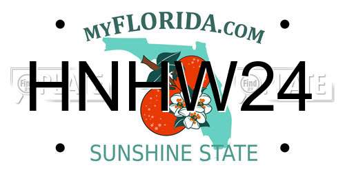 HNHW24 Florida License Plate