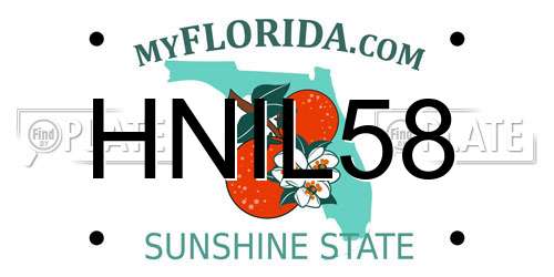 HNIL58 Florida License Plate