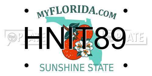 HNIT89 Florida License Plate