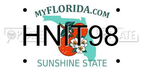 HNIT98 Florida License Plate