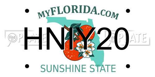 HNIY20 Florida License Plate
