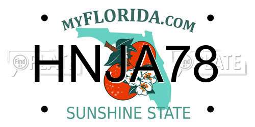 HNJA78 Florida License Plate