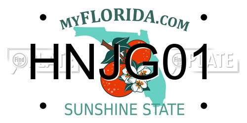 HNJG01 Florida License Plate
