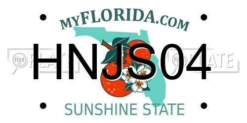 HNJS04 Florida License Plate
