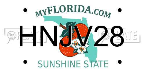 HNJV28 Florida License Plate