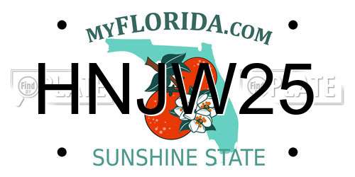 HNJW25 Florida License Plate